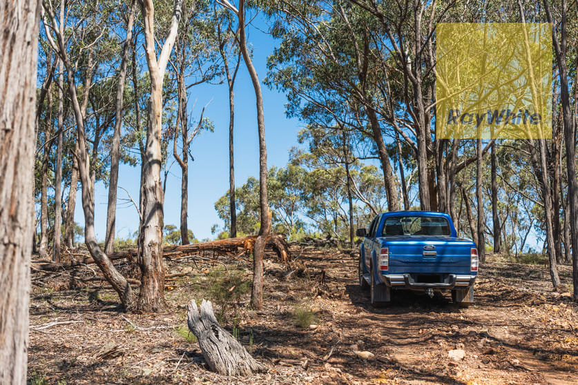 1578 Blakney Creek North Road Bevendale NSW 2581 - Image 3