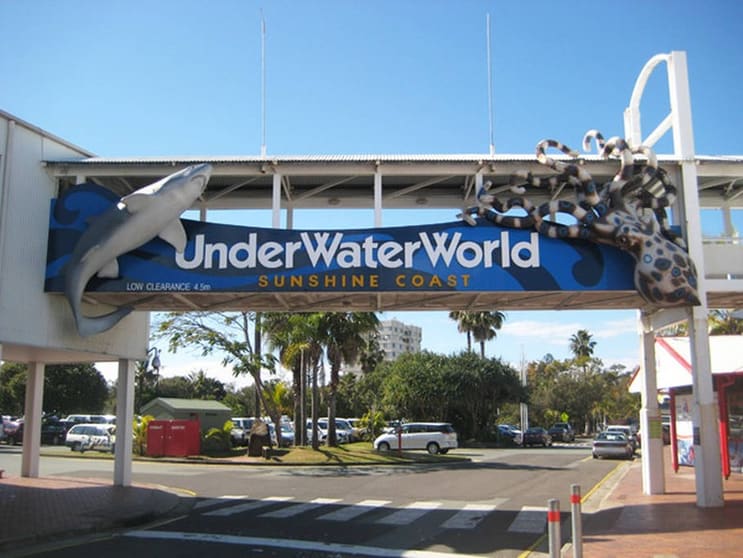 Pool & Water  business for sale in Sunshine Coast Greater Region QLD - Image 2