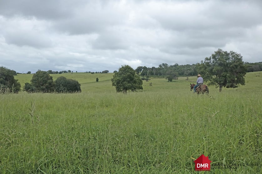 271 McLaughlans Road Monto QLD 4630 - Image 1