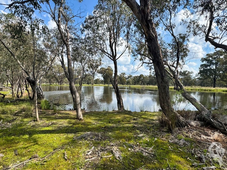 Click to view all images 483 Gwabegar Road Cuttabri NSW 2388 - Image 2