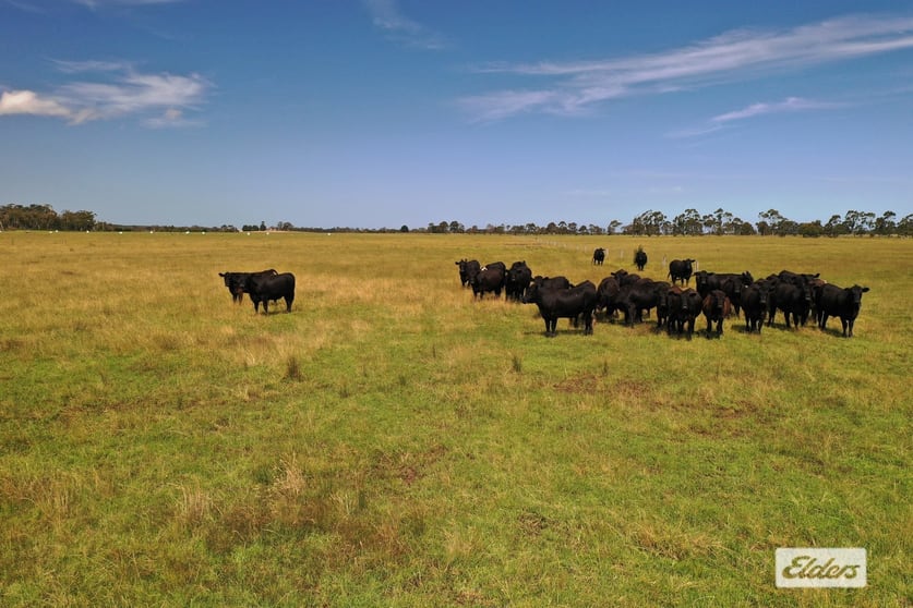 Click to view all images Bradleys Road Stradbroke VIC 3851 - Image 1