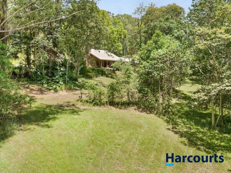 Click to view all images 445 Bagotville Road Meerschaum Vale NSW 2477 - Image 3