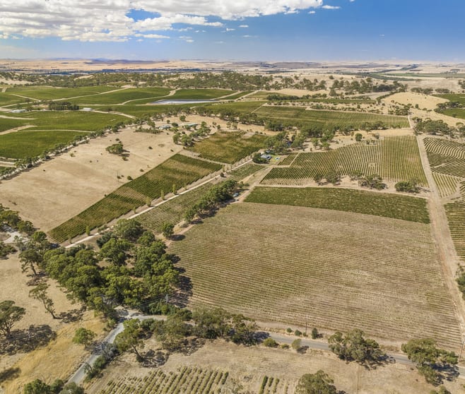 Click to view all images 'Highview' Slaughterhouse Road Clare SA 5453 - Image 3