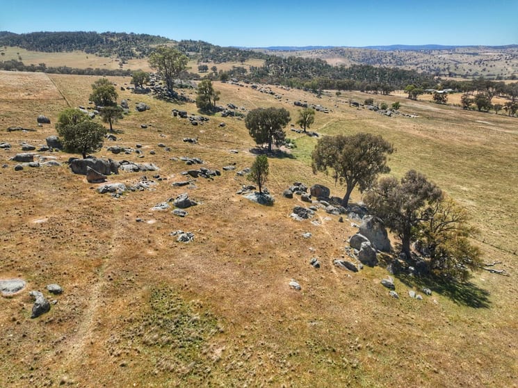 Click to view all images 1432 Pine Mount Road Darbys Falls NSW 2793 - Image 2