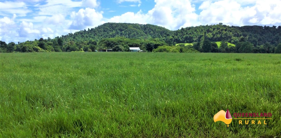 Click to view all images Utchee Creek QLD 4871 - Image 3