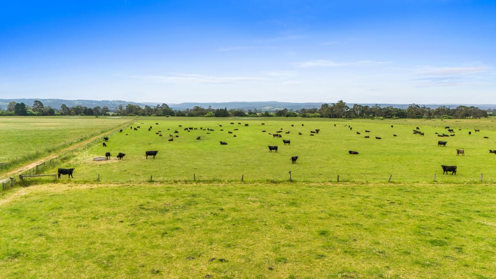 Click to view all images 150 + 220 Marshalls Road Traralgon VIC 3844 - Image 3
