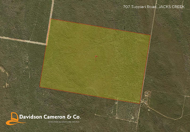 Click to view all images 707 Tuppiari Road Jacks Creek NSW 2390 - Image 1