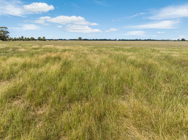 Click to view all images 0 Inglewood-Powlett Road Fiery Flat VIC 3518 - Image 3