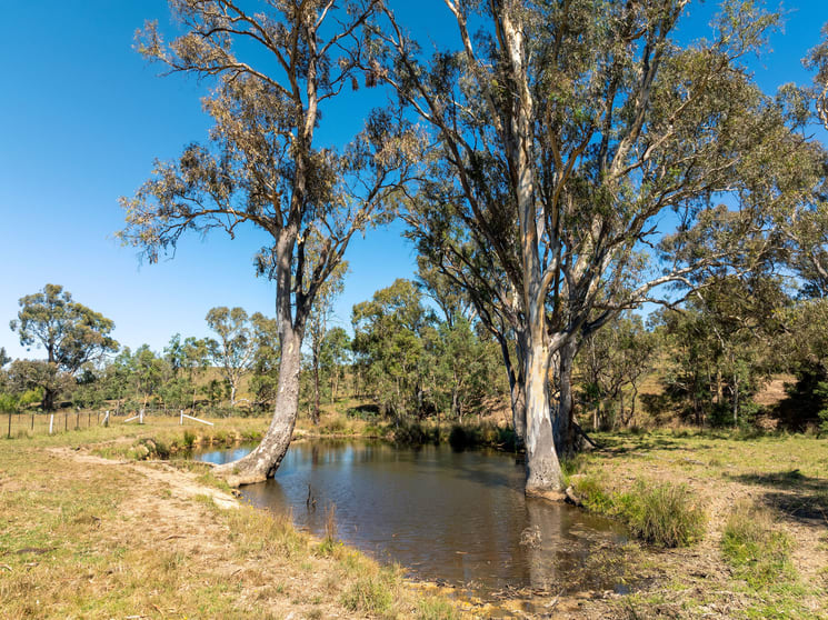 Click to view all images Part 145 Middle Creek Road Yarck VIC 3719 - Image 3
