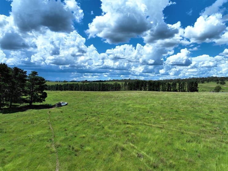 Click to view all images Lot 18/254 Losebys Road Big Hill Marulan NSW 2579 - Image 1