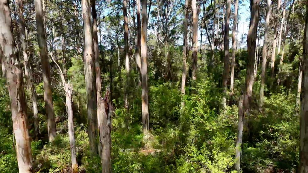 Click to view all images 236 Guernsey Gully Northcliffe WA 6262 - Image 3