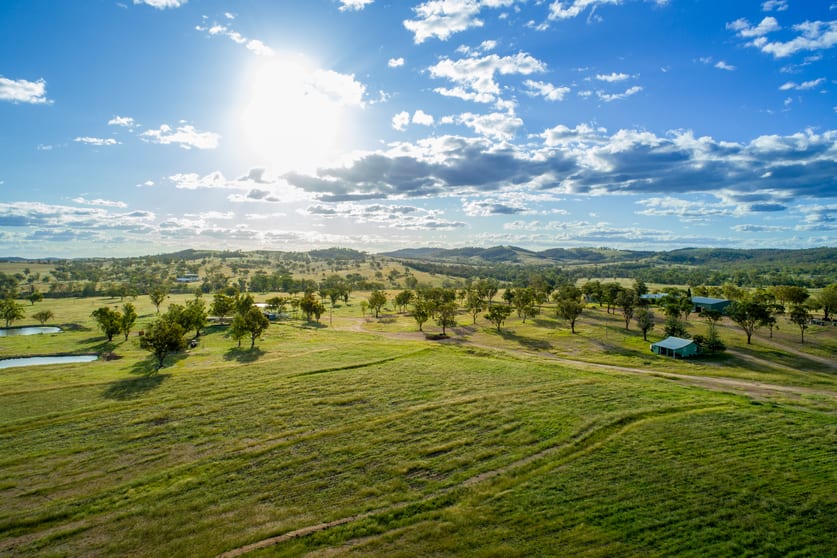 Click to view all images " Brooklyn Macintyre Aggregation " Warwick QLD 4370 - Image 2