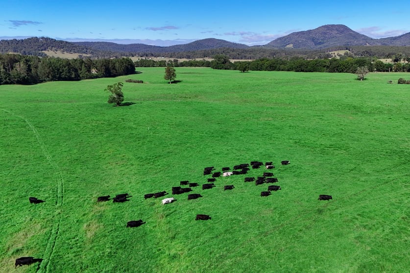 1456 Rollands Plains Road Ballengarra NSW 2441 - Image 2