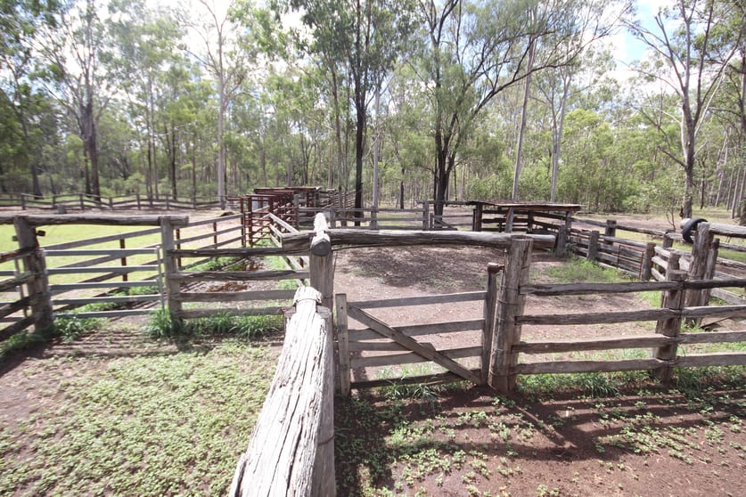Click to view all images 'Greentree' Mundubbera-Durong Rd Mundubbera QLD 4626 - Image 3