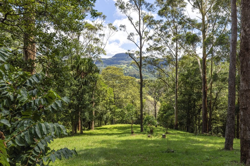 Click to view all images 60 Hillandale Road Broughton Vale NSW 2535 - Image 1
