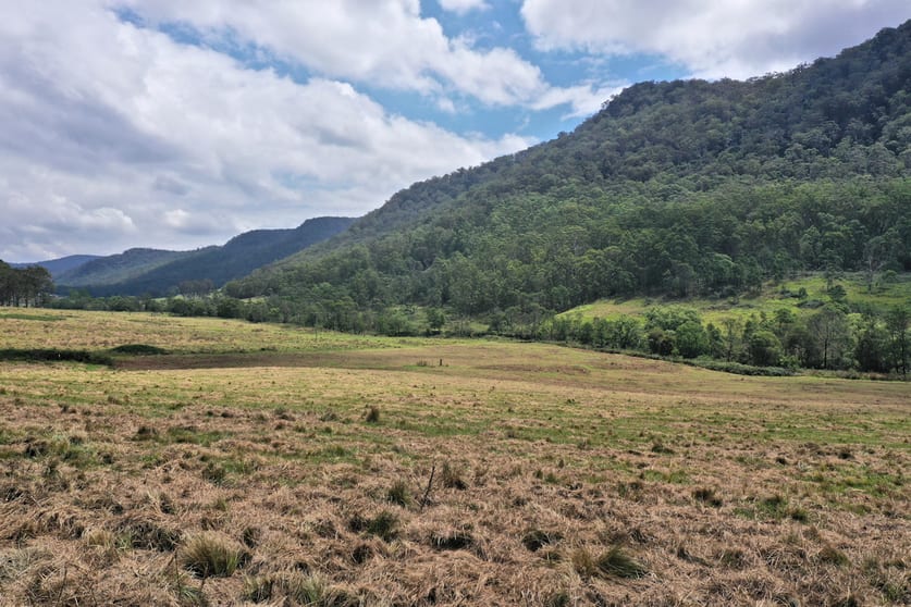 1670 Watagan Creek Road Watagan NSW 2325 - Image 3