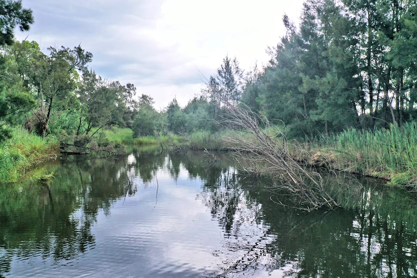 Click to view all images Milbrodale Rd Fordwich NSW 2330 - Image 2