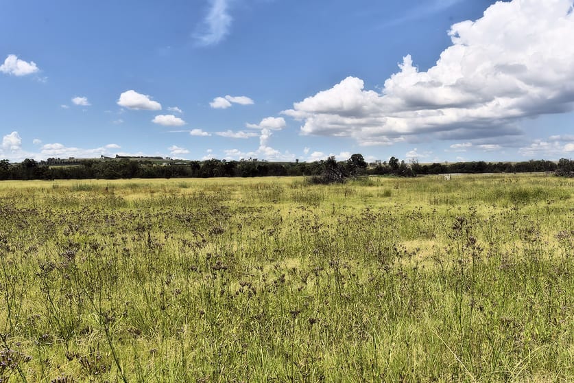 Click to view all images Milbrodale Rd Fordwich NSW 2330 - Image 3
