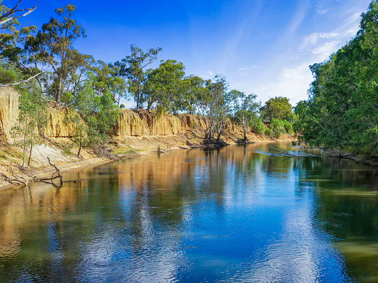 Click to view all images 751 Police Paddocks Road Carlyle VIC 3685 - Image 3