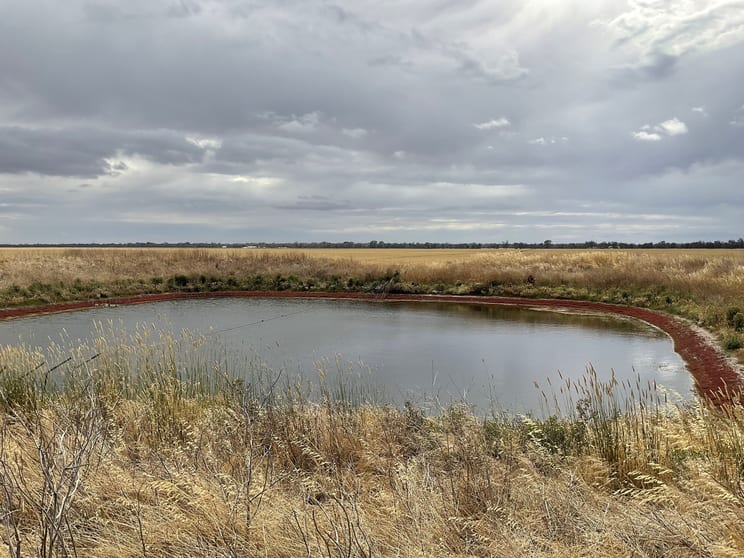 Horsham-Wal Wal Rd St Helens Plains VIC 3401 - Image 3