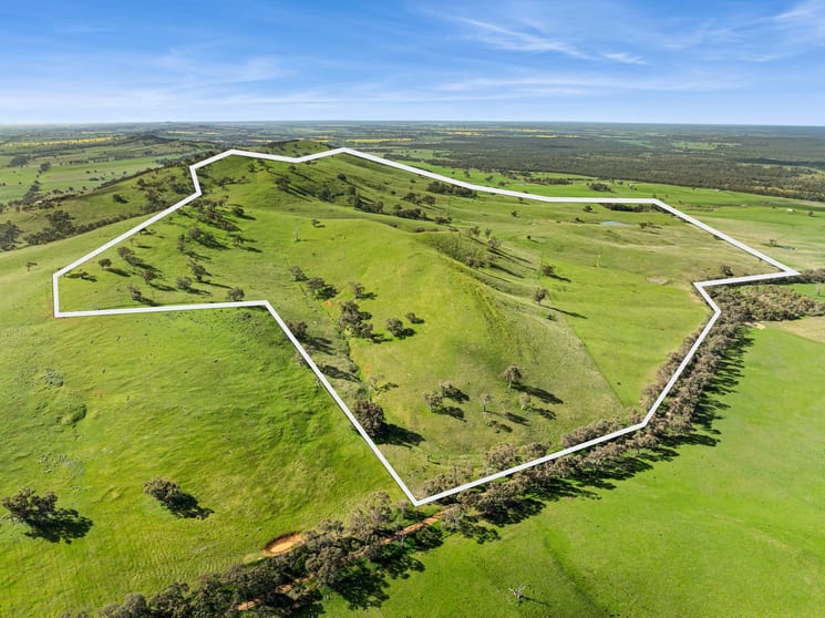 Click to view all images CA3 Hagans Lane Toolleen VIC 3551 - Image 2