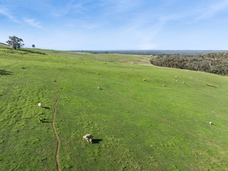 Click to view all images CA3 Hagans Lane Toolleen VIC 3551 - Image 3