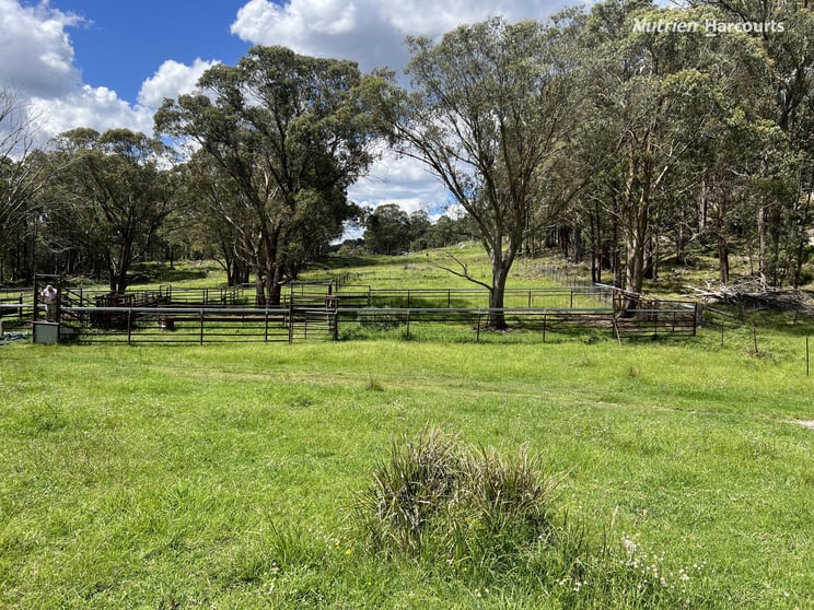 'Mt Clear'/* Morven Road Dundee NSW 2370 - Image 2