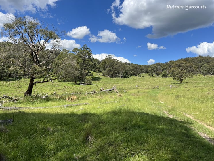 'Mt Clear'/* Morven Road Dundee NSW 2370 - Image 3