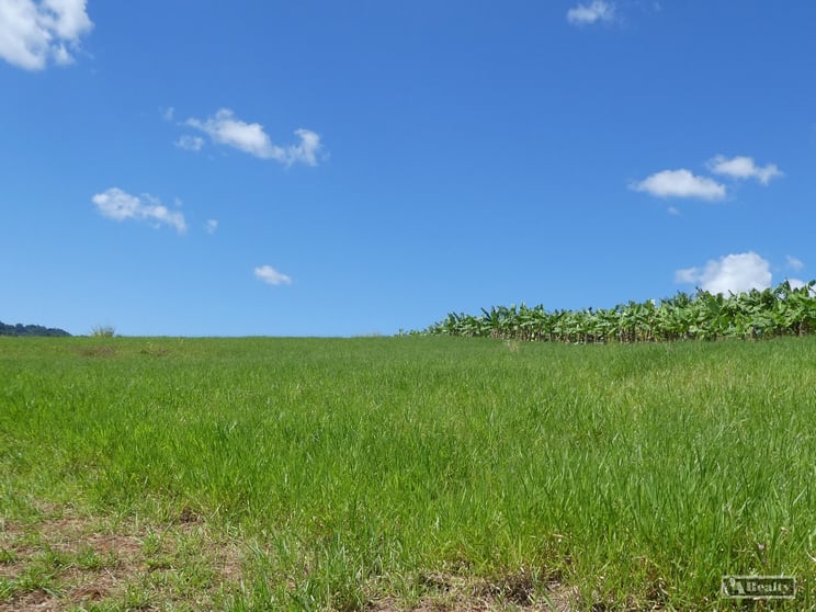Click to view all images 79 Fallon Road Garradunga QLD 4860 - Image 1