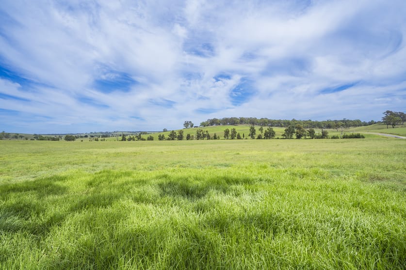 Click to view all images 218 Cranky Corner Road Stanhope NSW 2335 - Image 3