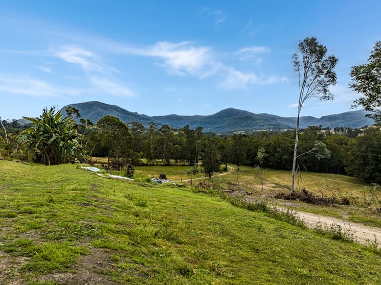 Click to view all images 75 Thorburn Street Nimbin NSW 2480 - Image 3