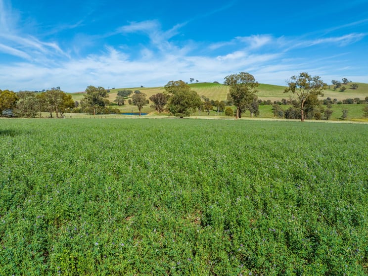 Click to view all images 253 Swan Ponds Road Woodstock NSW 2793 - Image 2