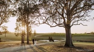Click to view all images Catering business for sale in Hunter Region NSW - Image 1
