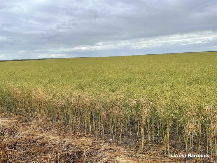 Click to view all images , Johnstone's Block Mindarabin WA 6336 - Image 2