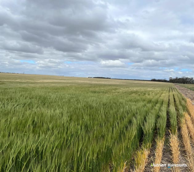 Click to view all images , Johnstone's Block Mindarabin WA 6336 - Image 3