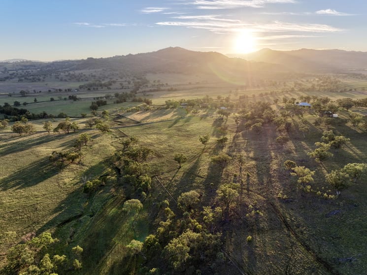 Click to view all images "Runnymead" 142 Borambil Creek Road Willow Tree NSW 2339 - Image 1