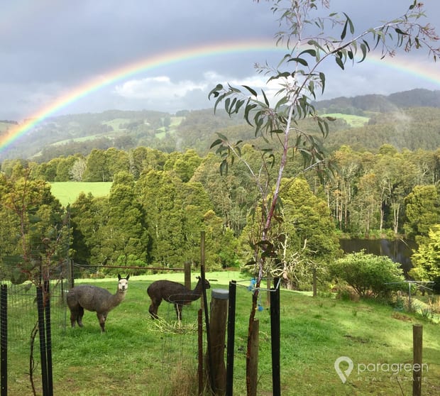 Click to view all images 1110 Foster - Mirboo Road Dollar VIC 3871 - Image 2