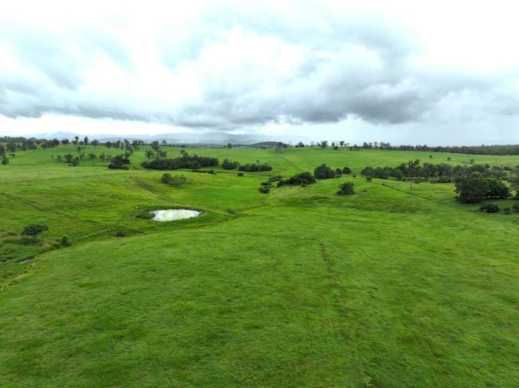 Click to view all images 284 Upper Stratheden Road Kyogle NSW 2474 - Image 2