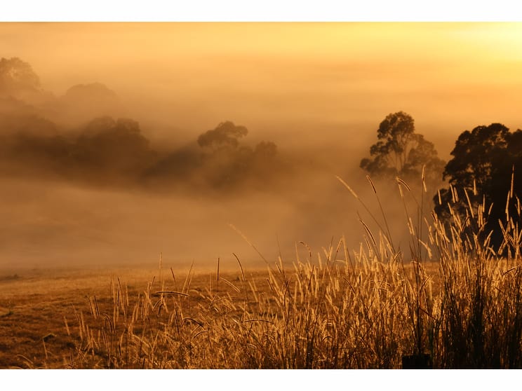 Click to view all images 102 Waterloo Road Firefly NSW 2429 - Image 2