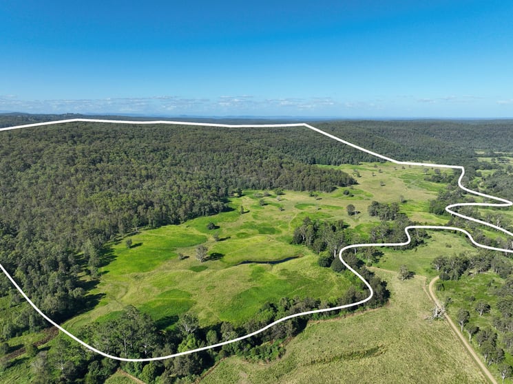 Click to view all images 2374 Upper Mongogarie Road Upper Mongogarie NSW 2470 - Image 1