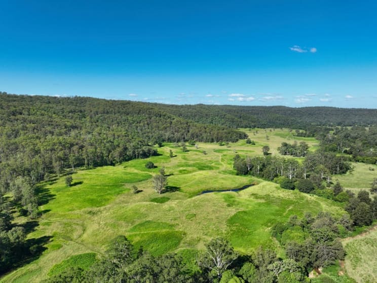 Click to view all images 2374 Upper Mongogarie Road Upper Mongogarie NSW 2470 - Image 3