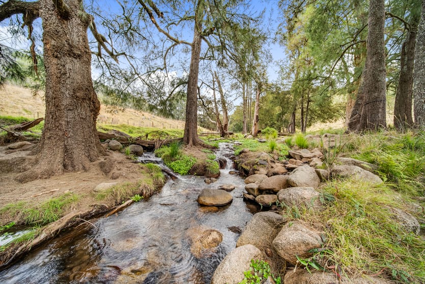 Click to view all images Lot 1 Off Neringla Road Neringla NSW 2622 - Image 2