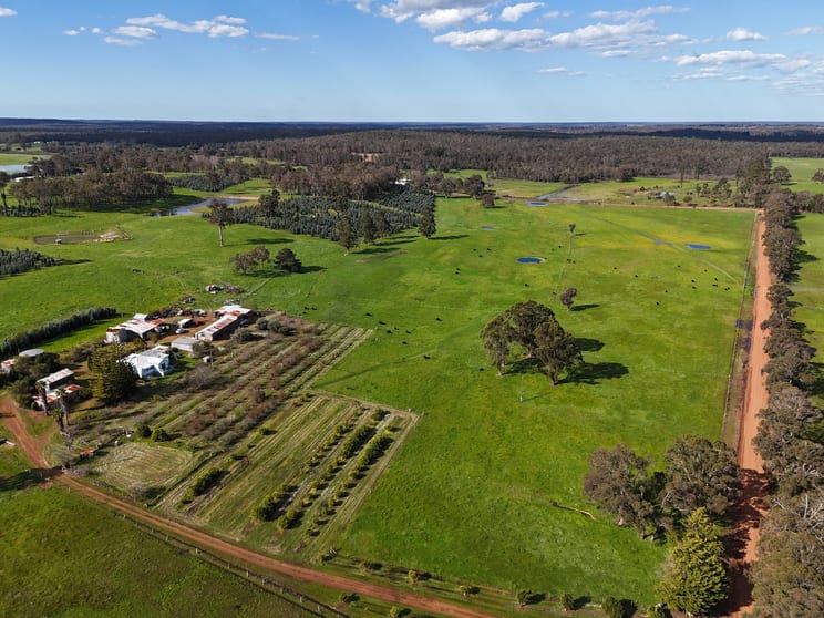Click to view all images 64 Gibellinis Road (Linfarne) Manjimup WA 6258 - Image 1