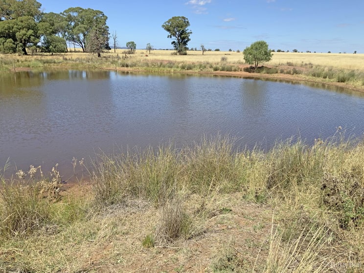 Click to view all images 602 Eumungerie Road Narromine NSW 2821 - Image 2