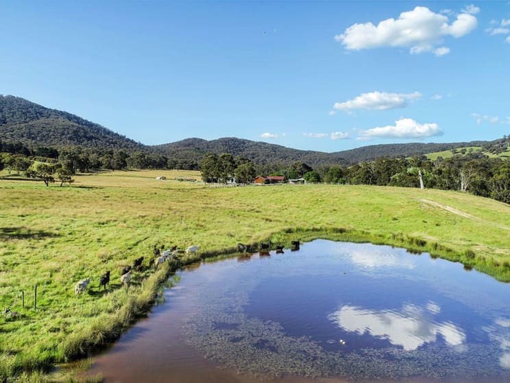 768 North Creek Road Ancona VIC 3715 - Image 2