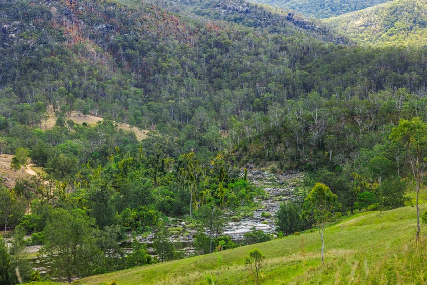 Lot 1 Rocky River Road, Rocky River via Tabulam NSW 2469 - Image 1