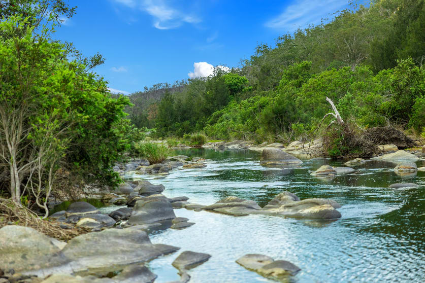 Lot 1 Rocky River Road, Rocky River via Tabulam NSW 2469 - Image 2