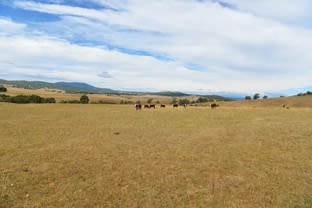 166 Glenroy Lake Road Tumbarumba NSW 2653 - Image 3