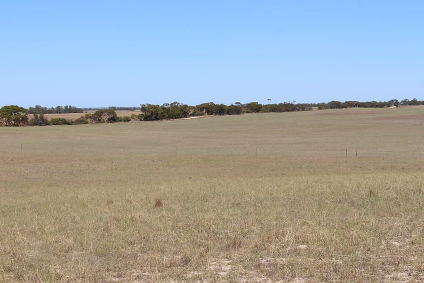 Proposed Allotment 2 Barney Road Netherton SA 5301 - Image 3