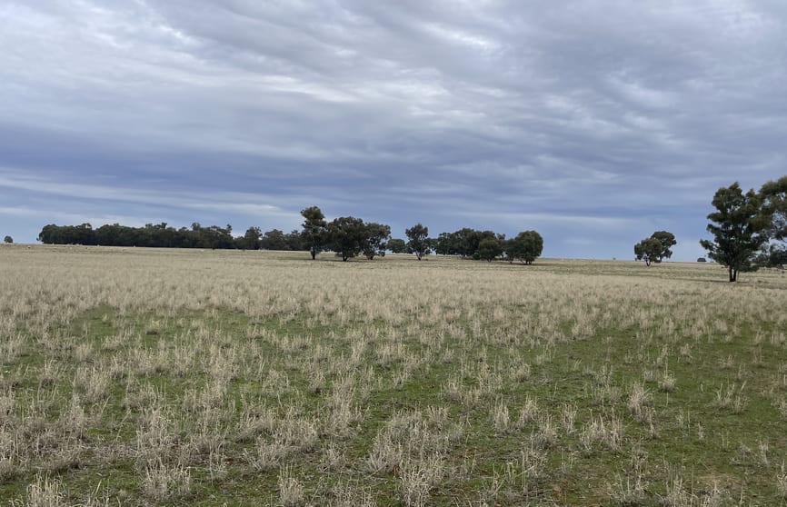 Click to view all images 'East Gathan' 509 Gathan Road Deniliquin NSW 2710 - Image 1